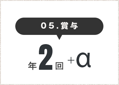 賞与 年2回+a